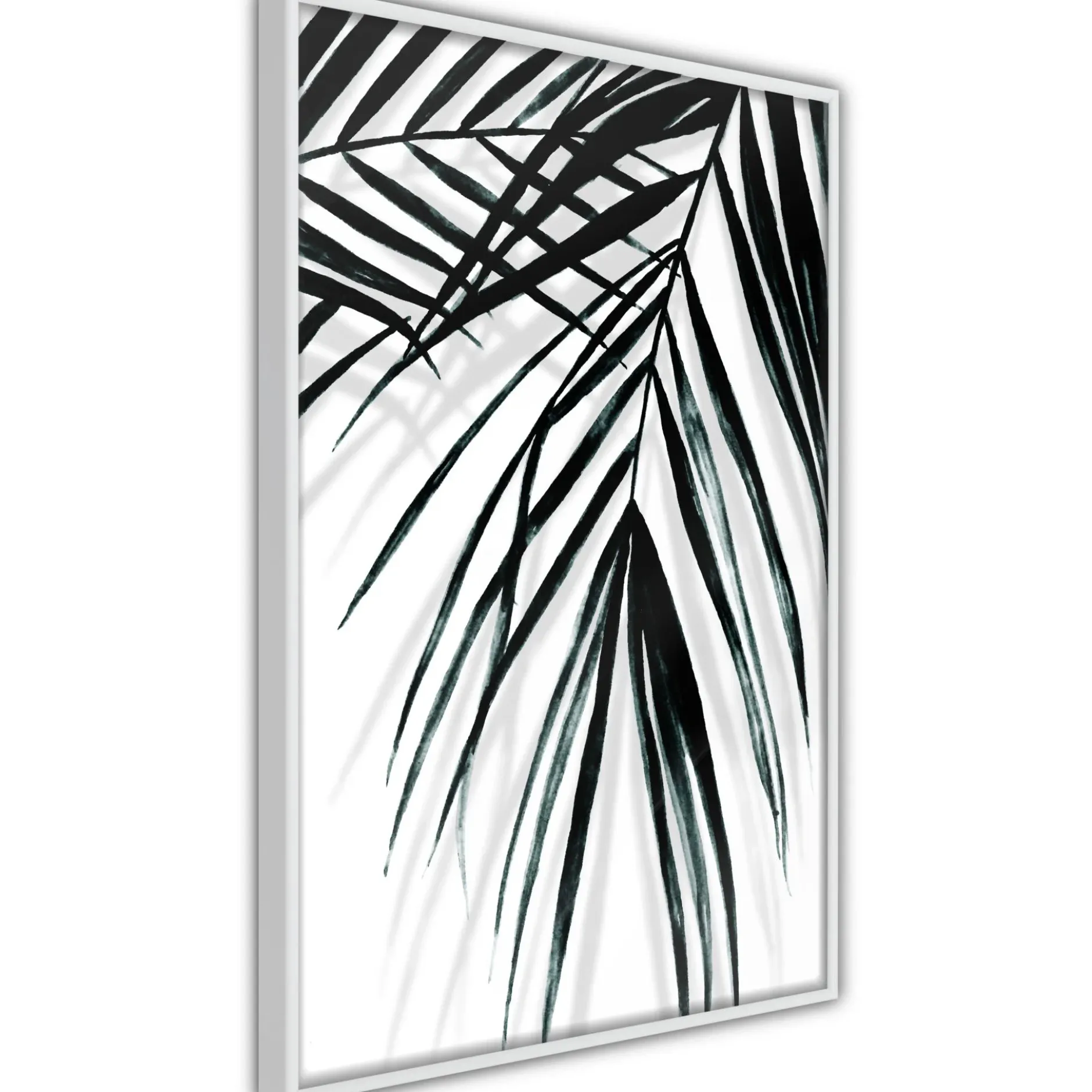 Poster 'Leaf and Its Shadow'