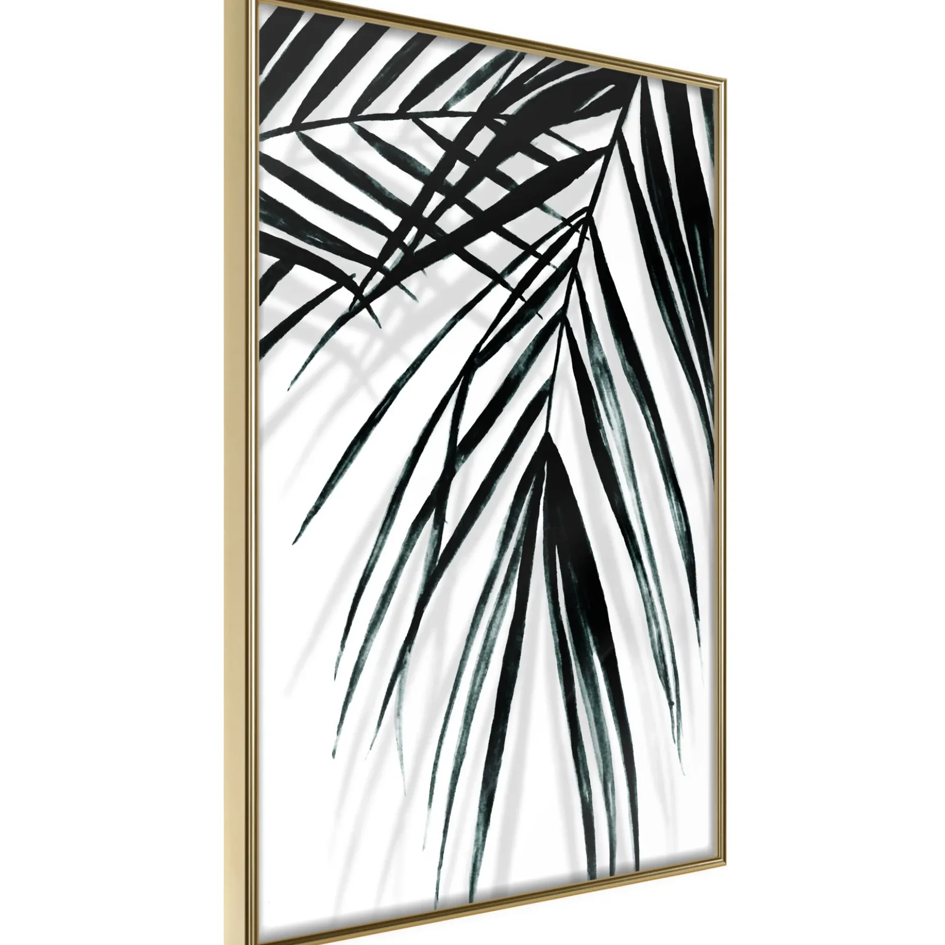 Poster 'Leaf and Its Shadow'