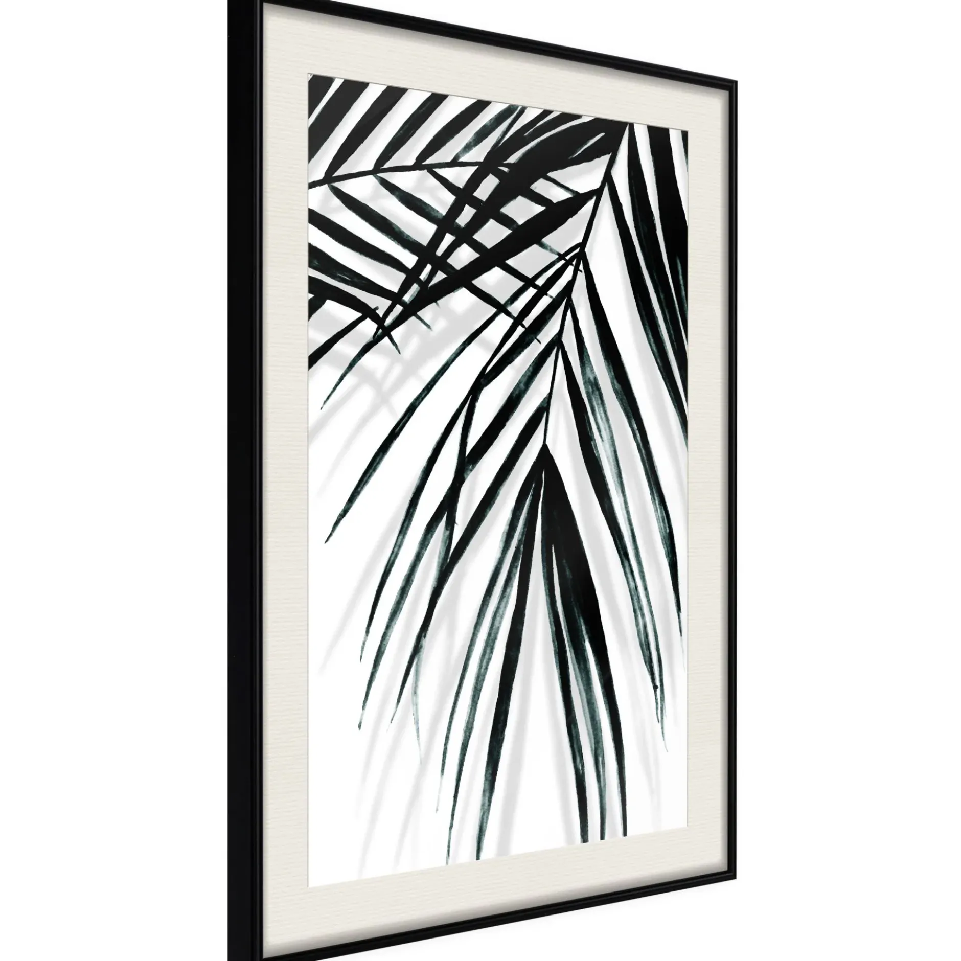 Poster 'Leaf and Its Shadow'