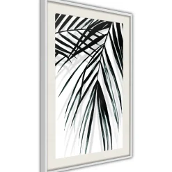 Poster 'Leaf and Its Shadow'