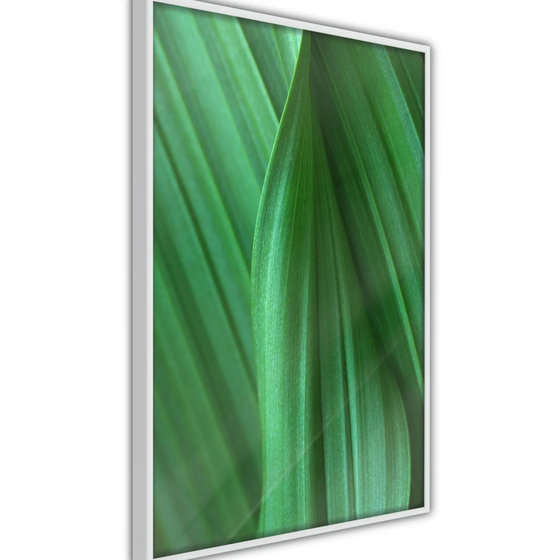Poster 'Leaf Structure'