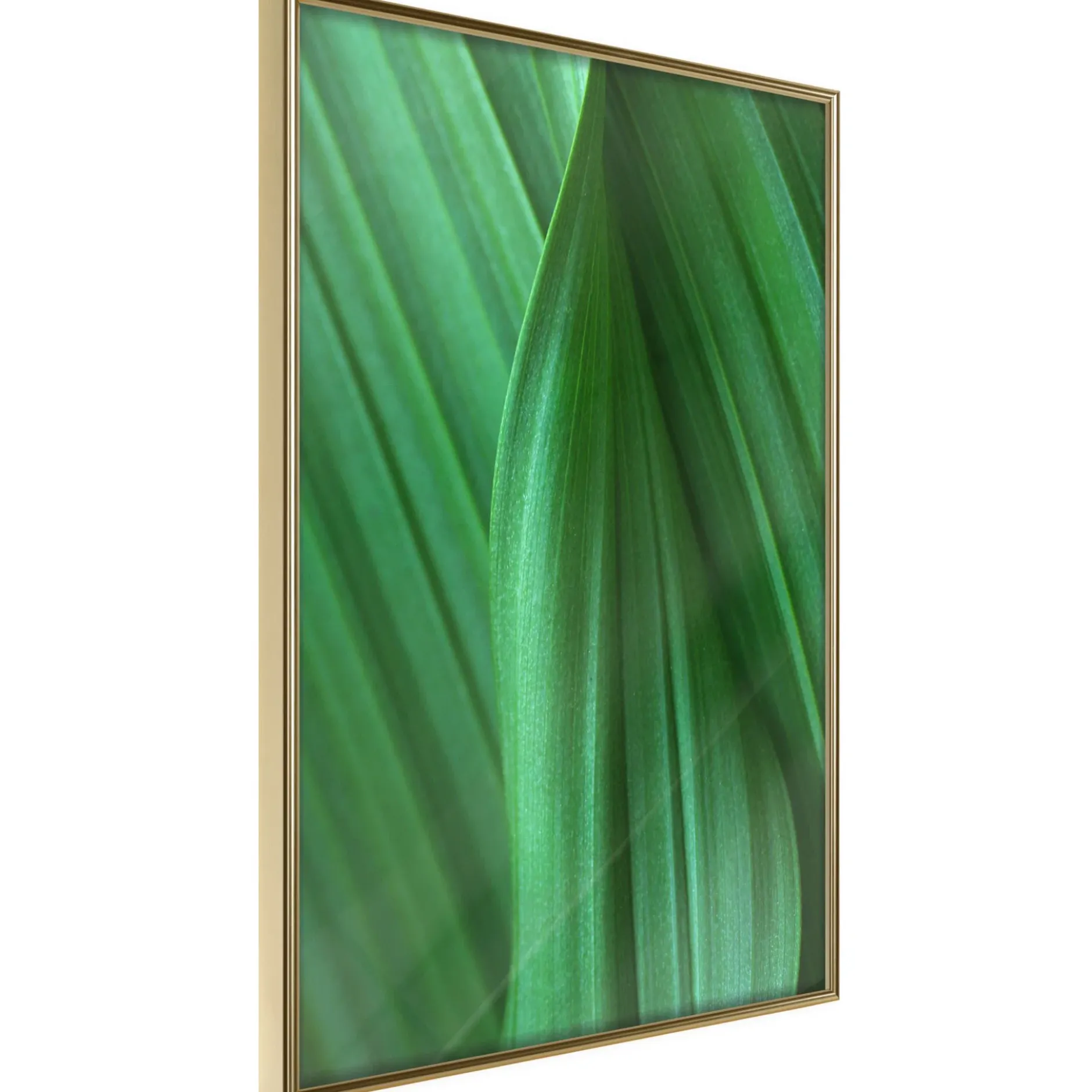 Poster 'Leaf Structure'