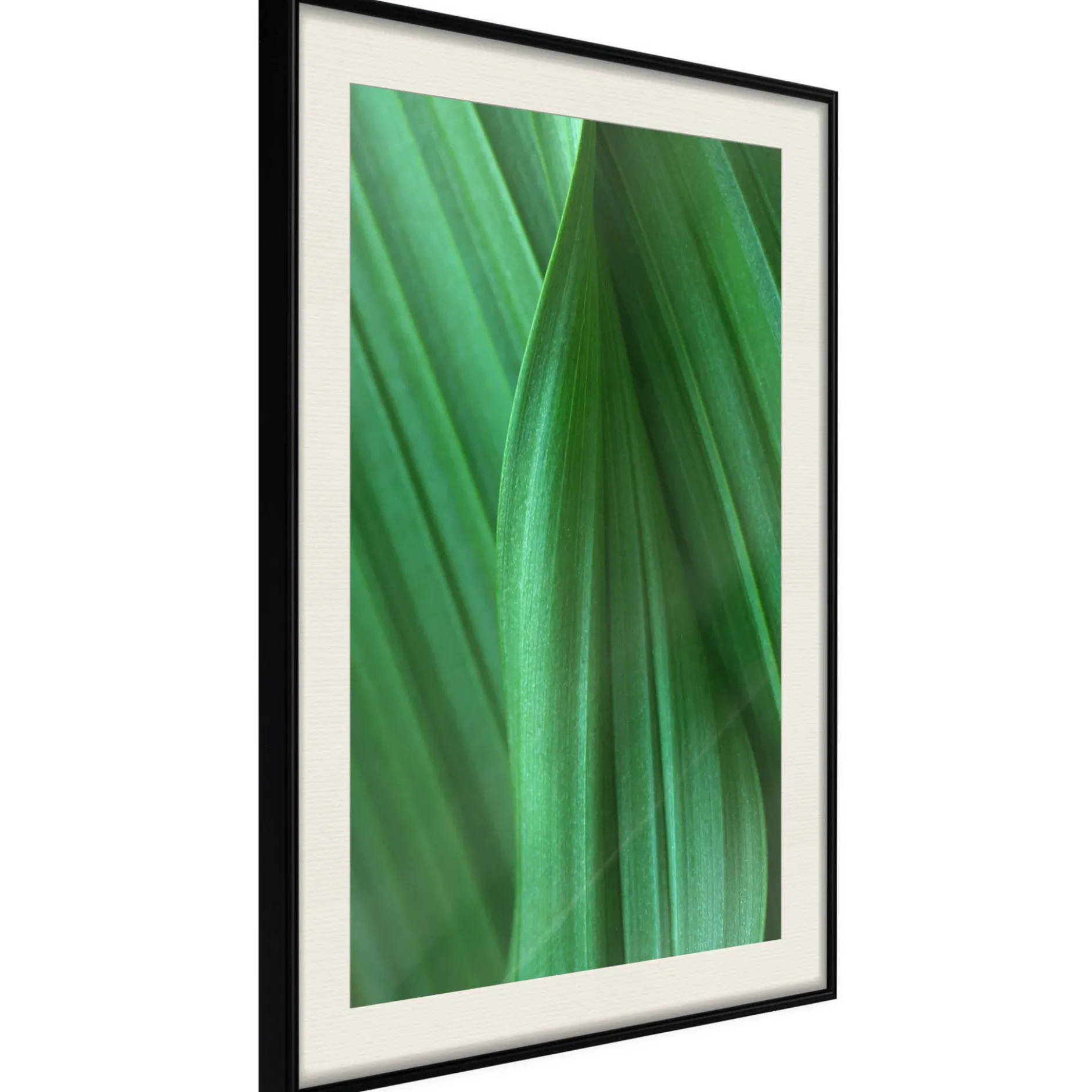 Poster 'Leaf Structure'