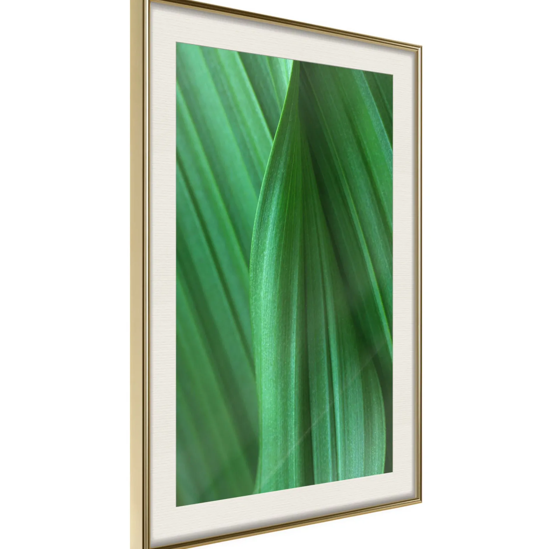 Poster 'Leaf Structure'