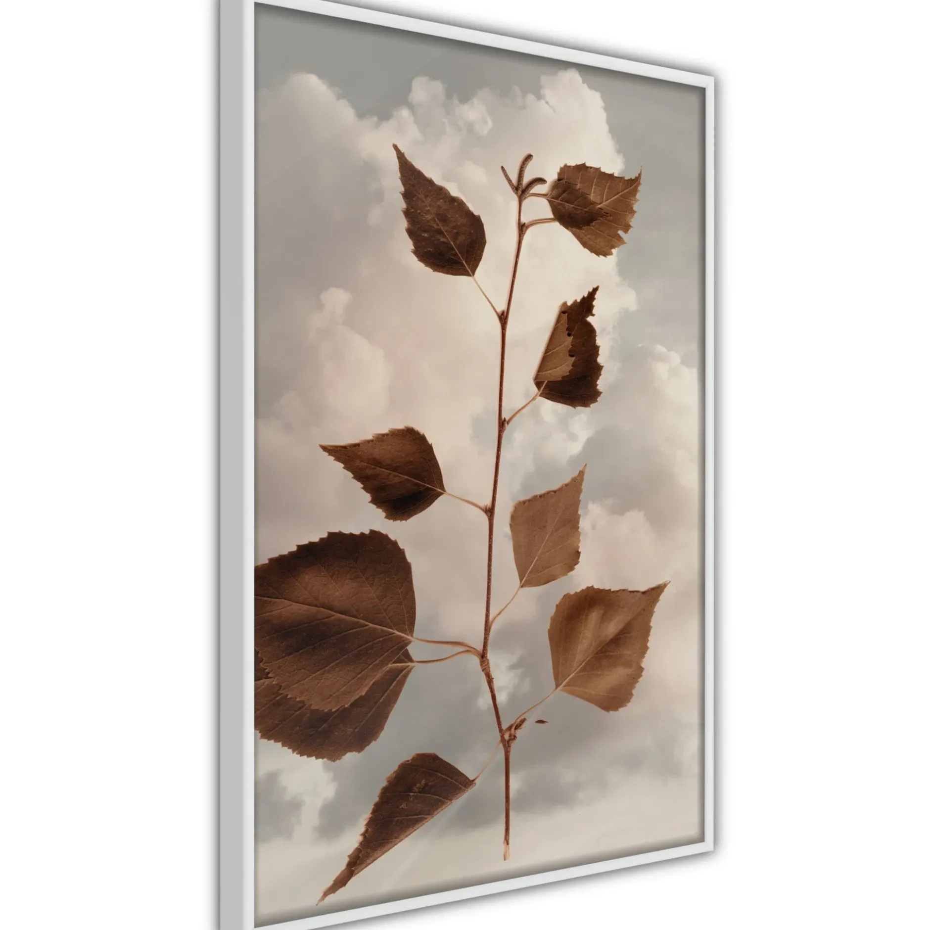 Poster 'Leaves in the Clouds'