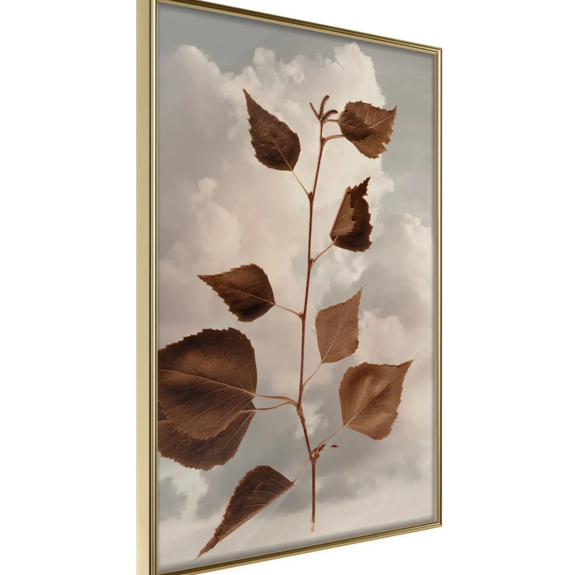 Poster 'Leaves in the Clouds'