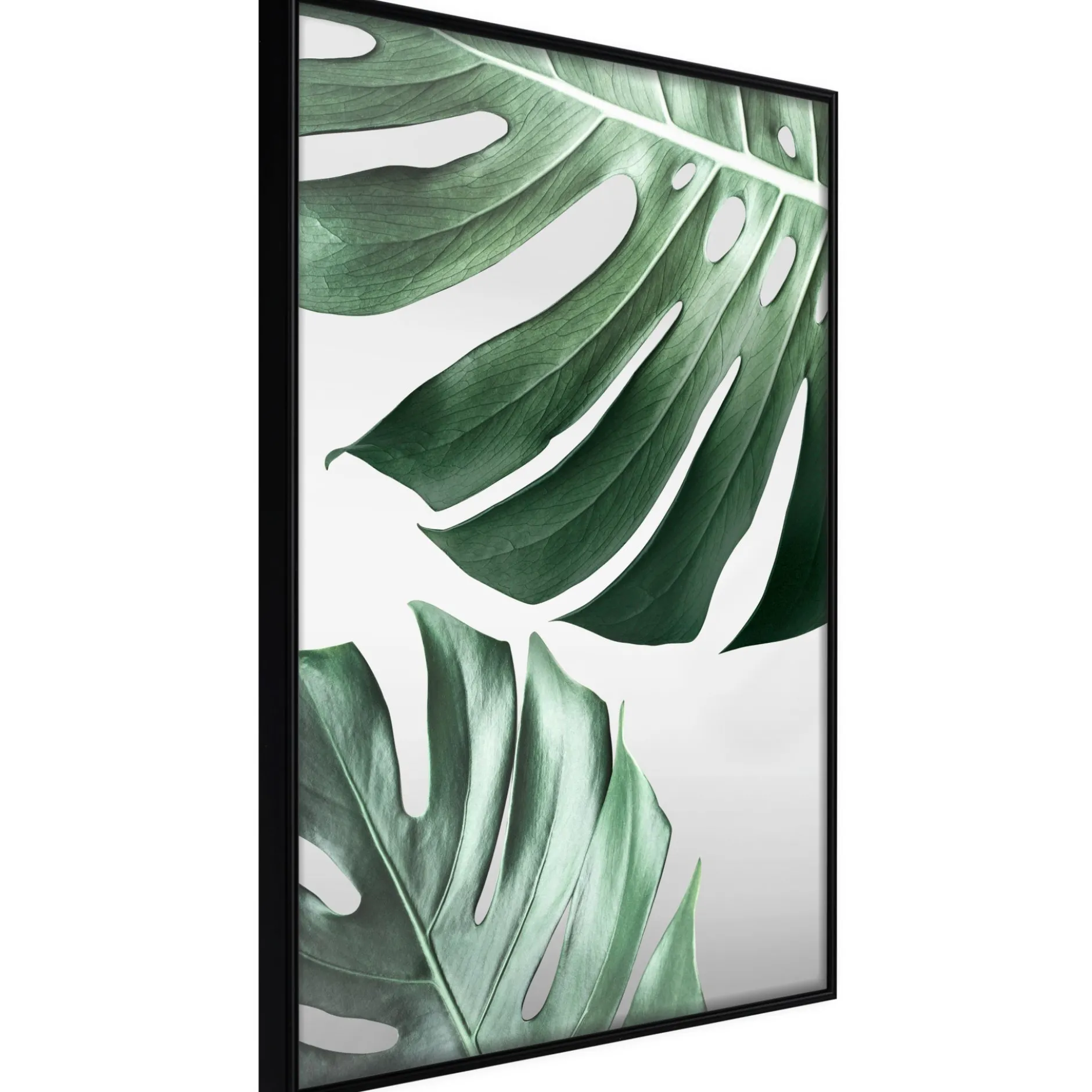 Poster 'Leaves Like Swiss Cheese'