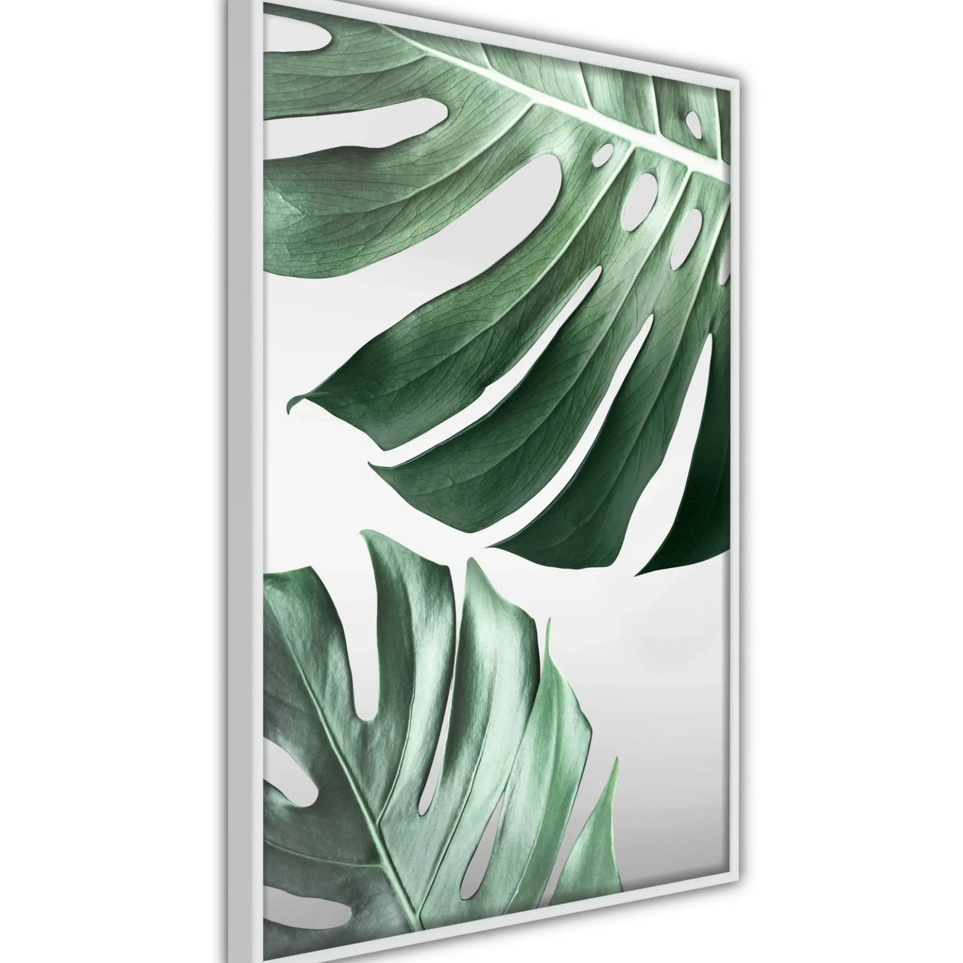 Poster 'Leaves Like Swiss Cheese'