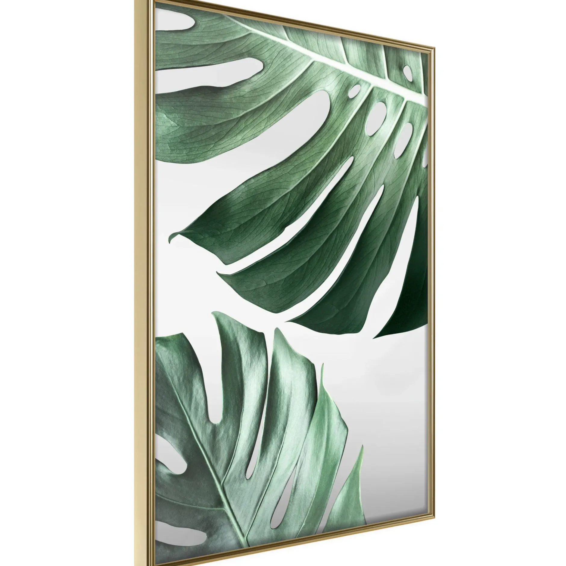 Poster 'Leaves Like Swiss Cheese'