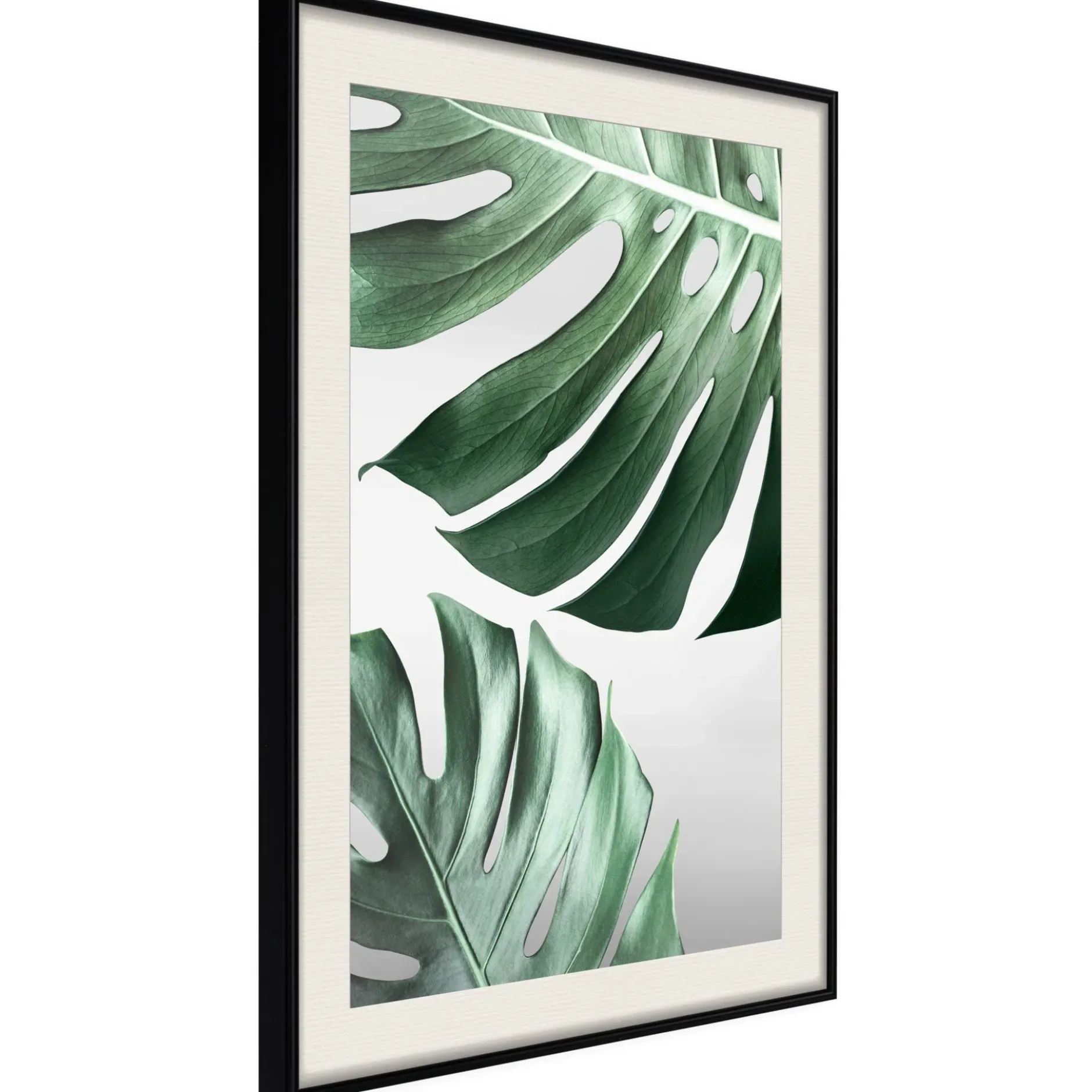 Poster 'Leaves Like Swiss Cheese'