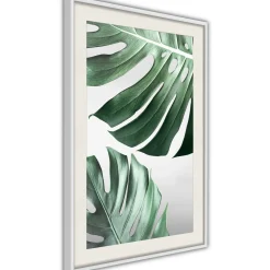 Poster 'Leaves Like Swiss Cheese'