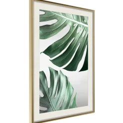 Poster 'Leaves Like Swiss Cheese'