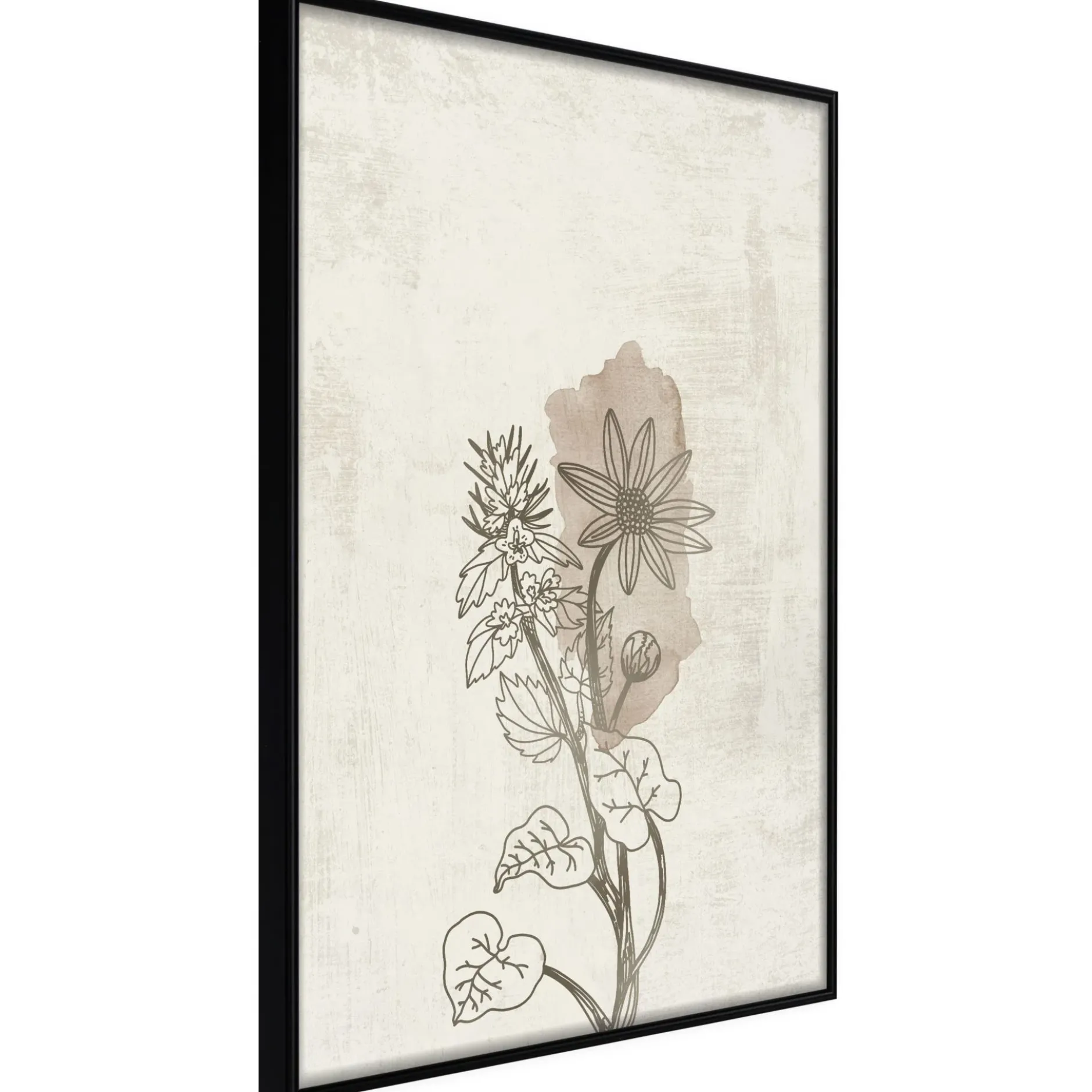 Poster 'Life of Plants'