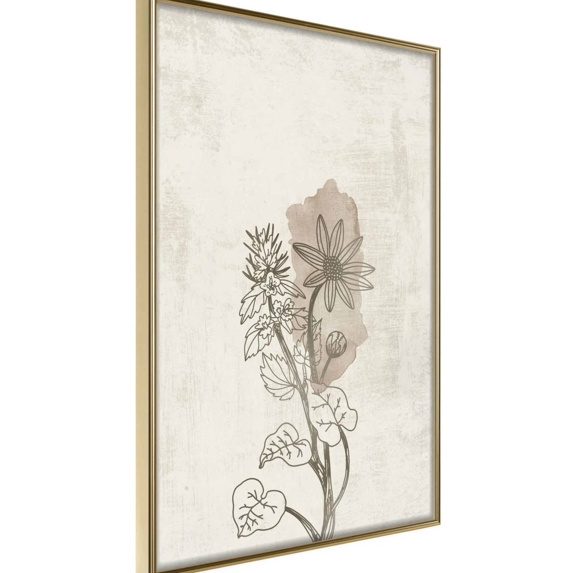 Poster 'Life of Plants'
