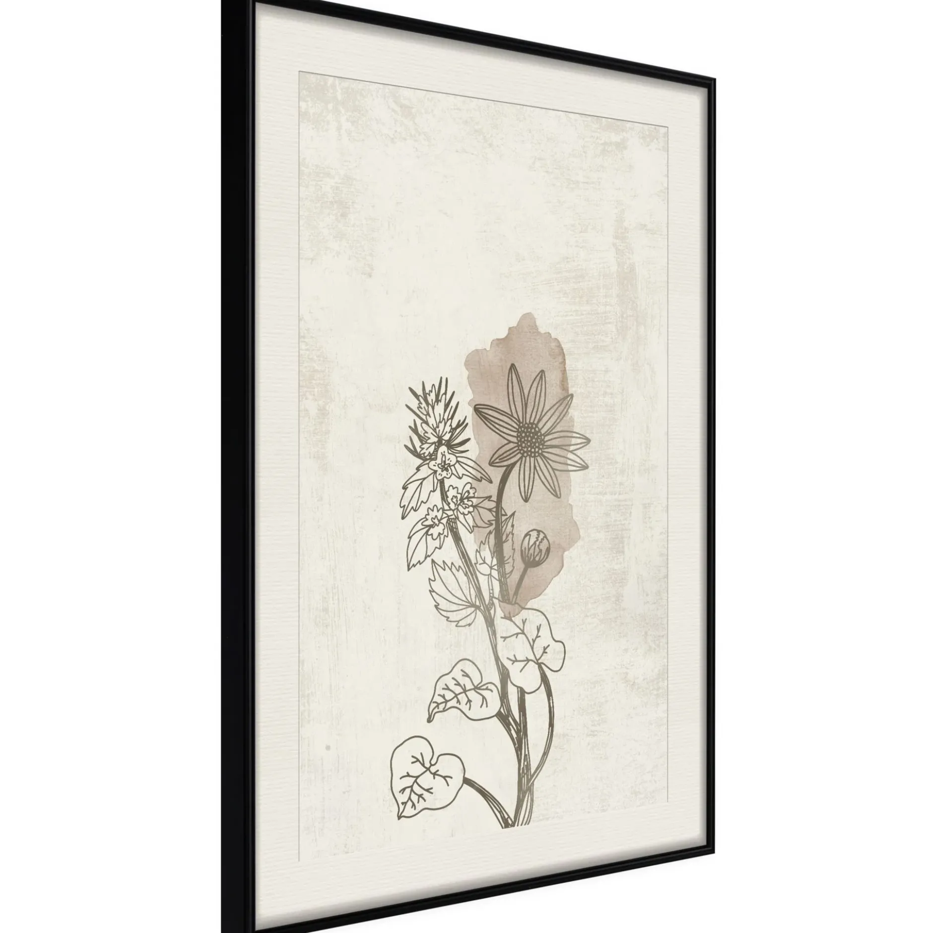 Poster 'Life of Plants'