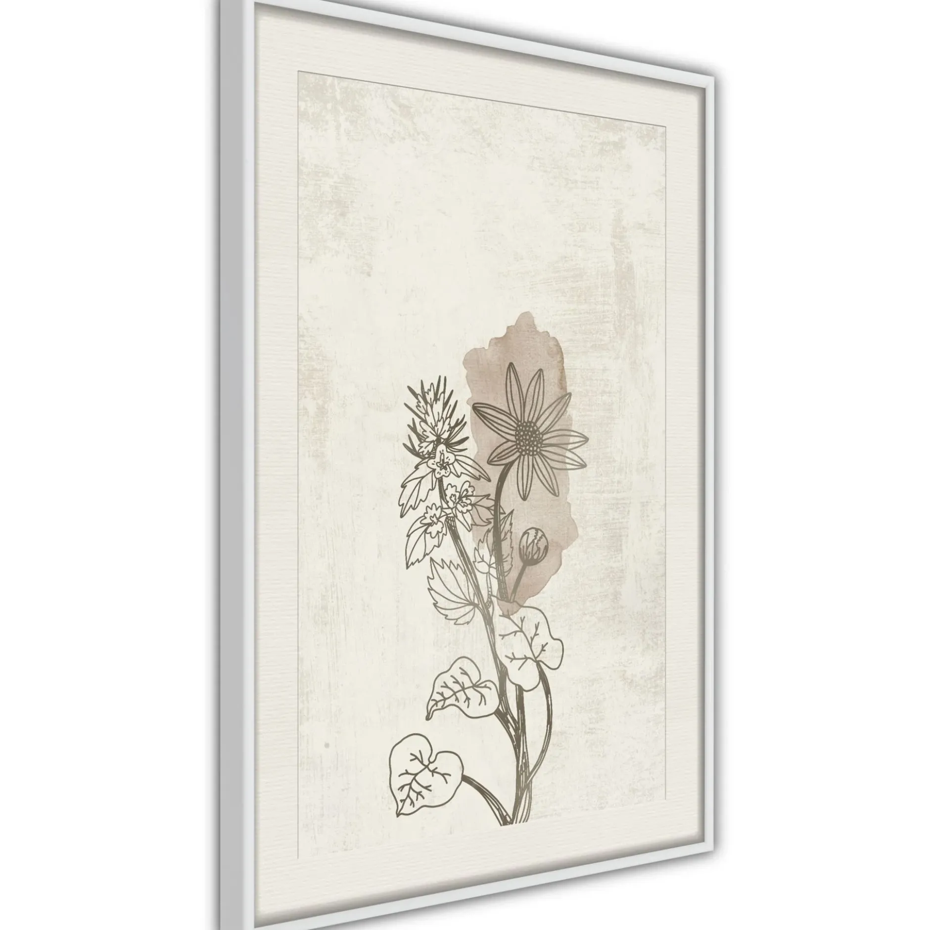 Poster 'Life of Plants'