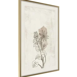 Poster 'Life of Plants'