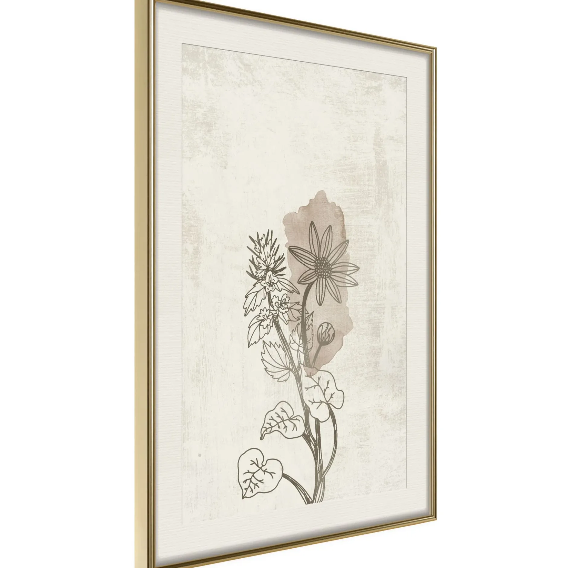 Poster 'Life of Plants'