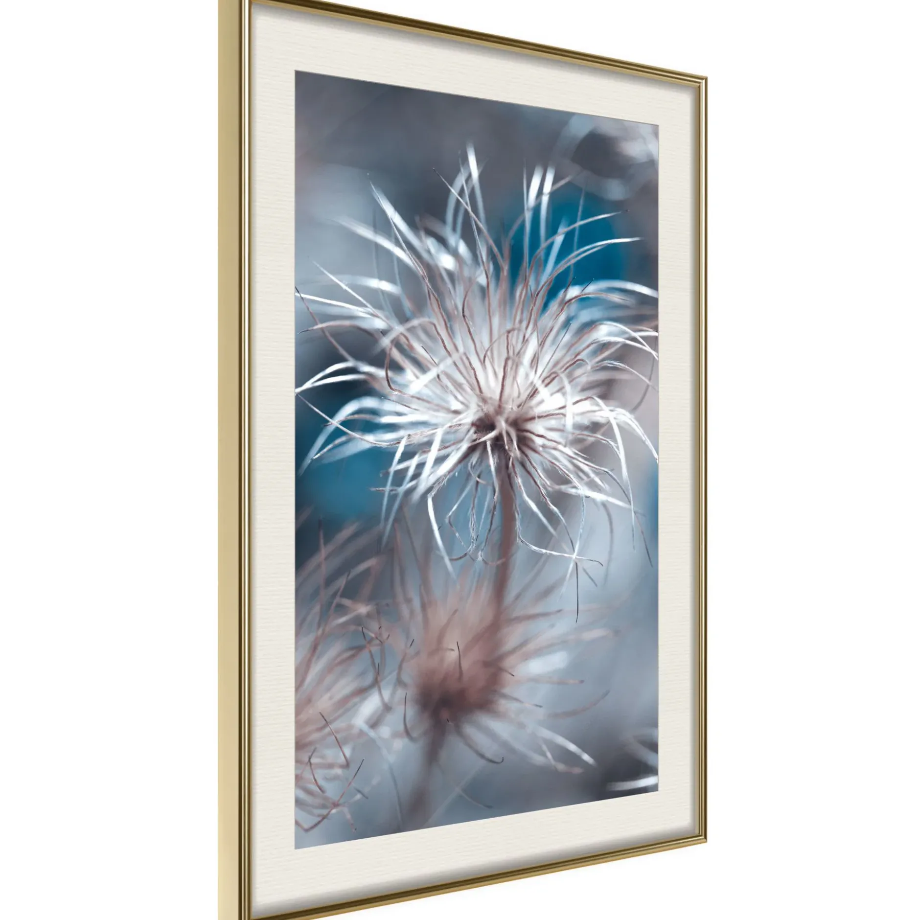 Poster 'Like a Dandelion'