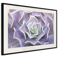 Poster 'Like a Flower'