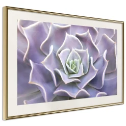Poster 'Like a Flower'