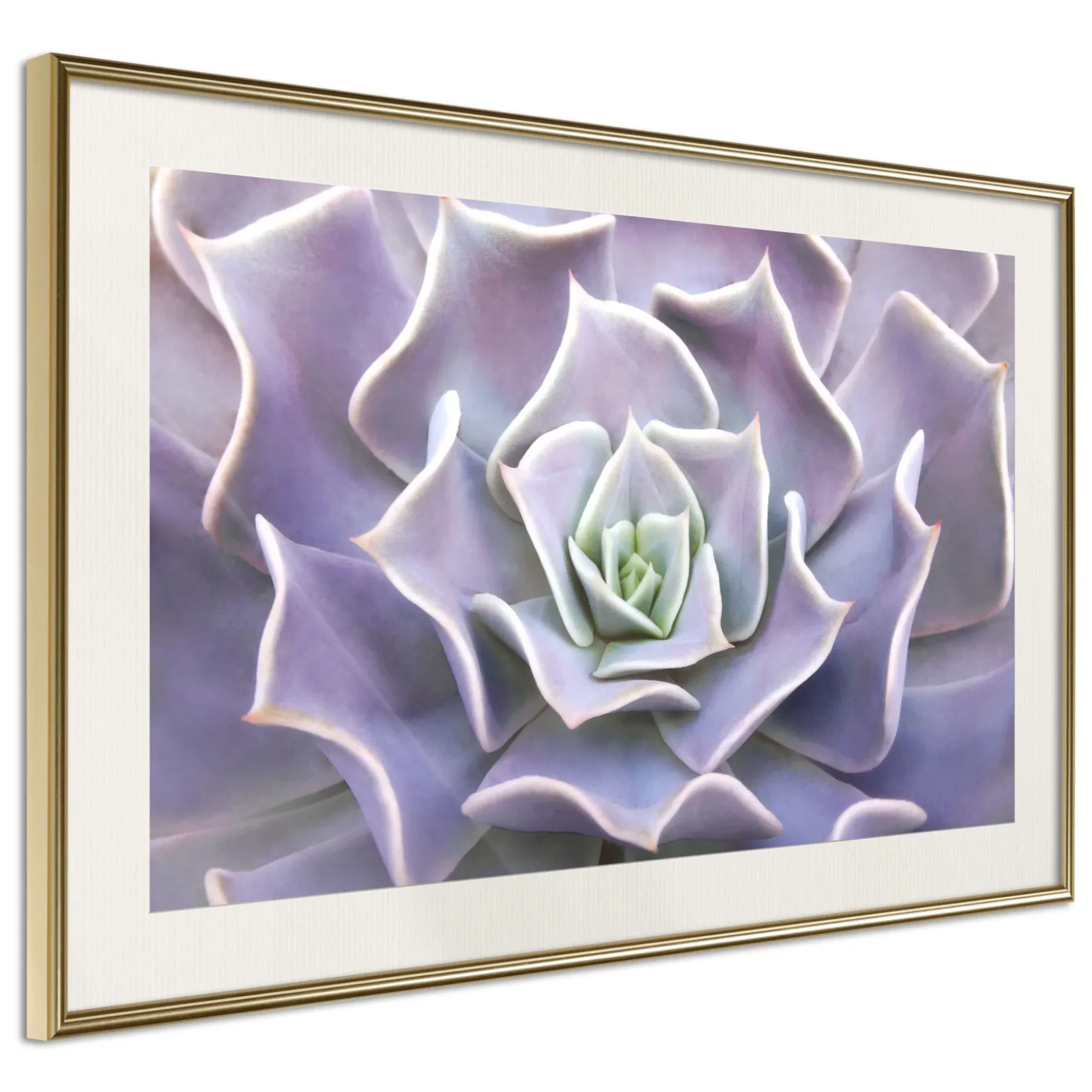 Poster 'Like a Flower'