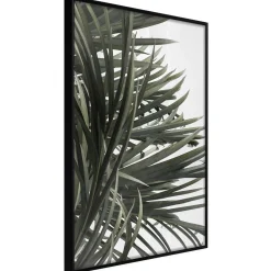 Poster 'Little Tropics'