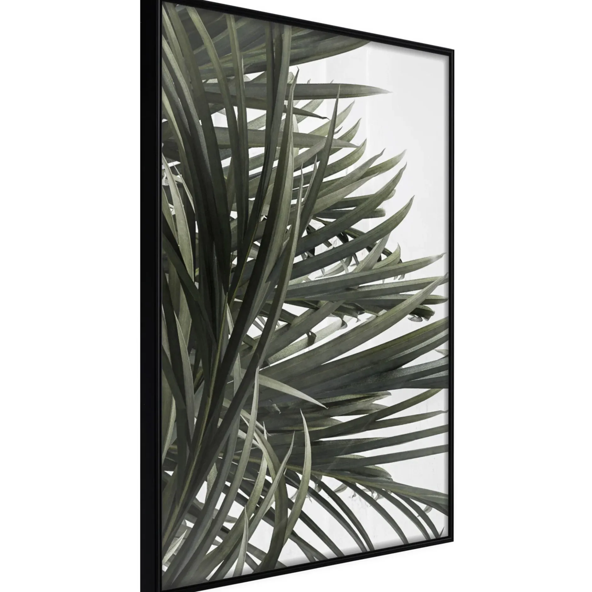 Poster 'Little Tropics'