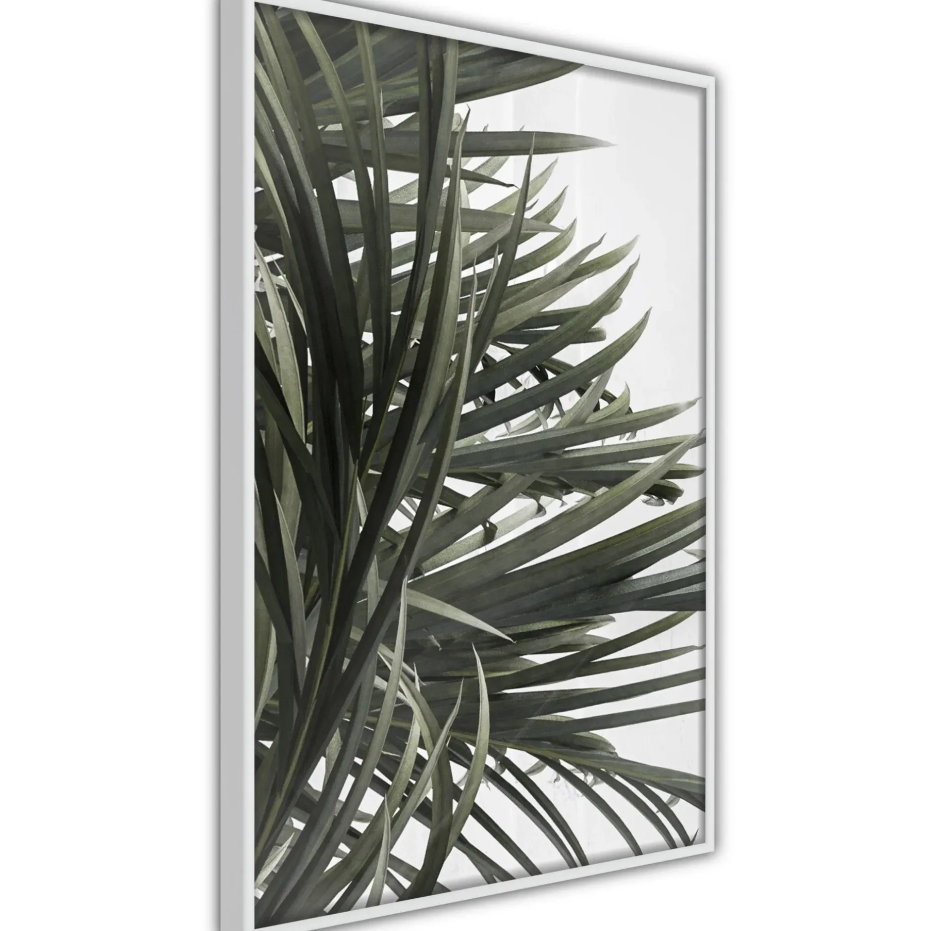 Poster 'Little Tropics'