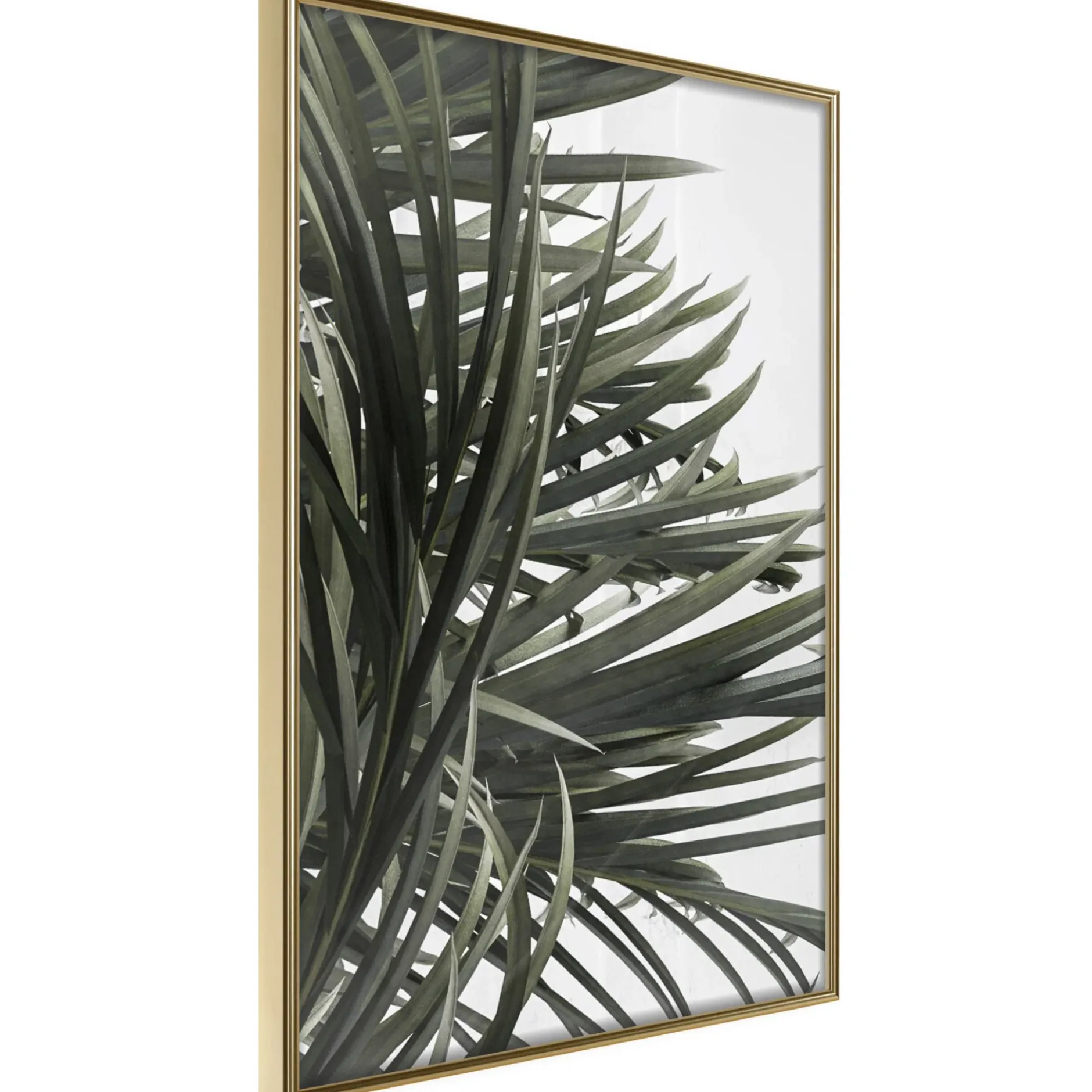Poster 'Little Tropics'