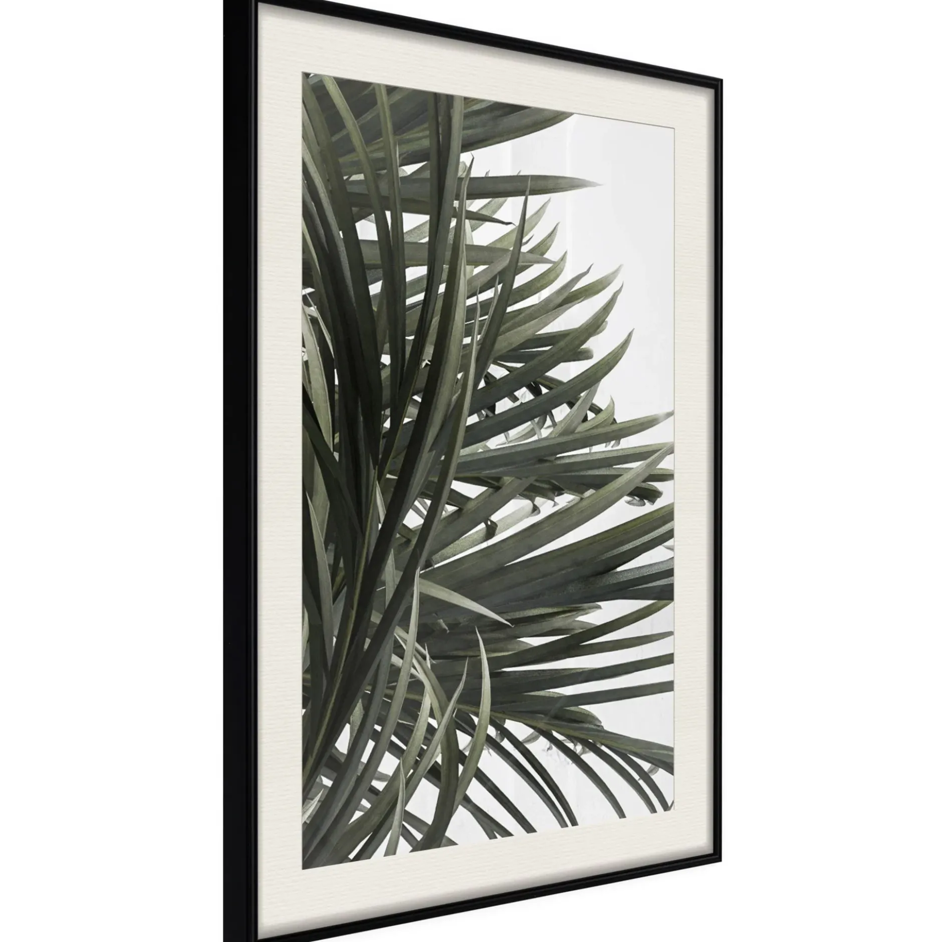 Poster 'Little Tropics'