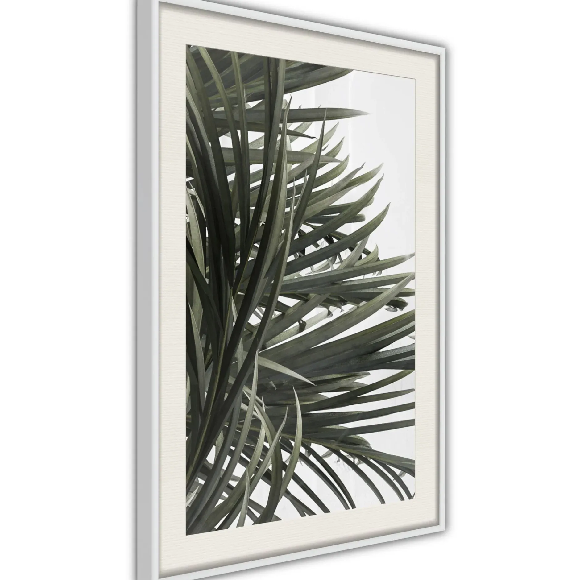 Poster 'Little Tropics'