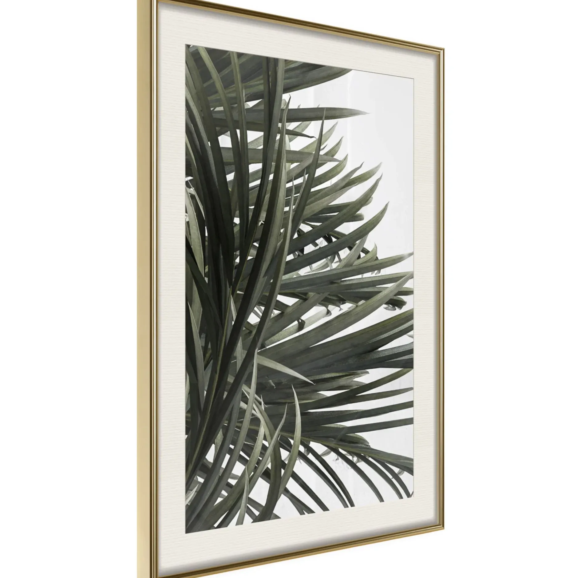 Poster 'Little Tropics'