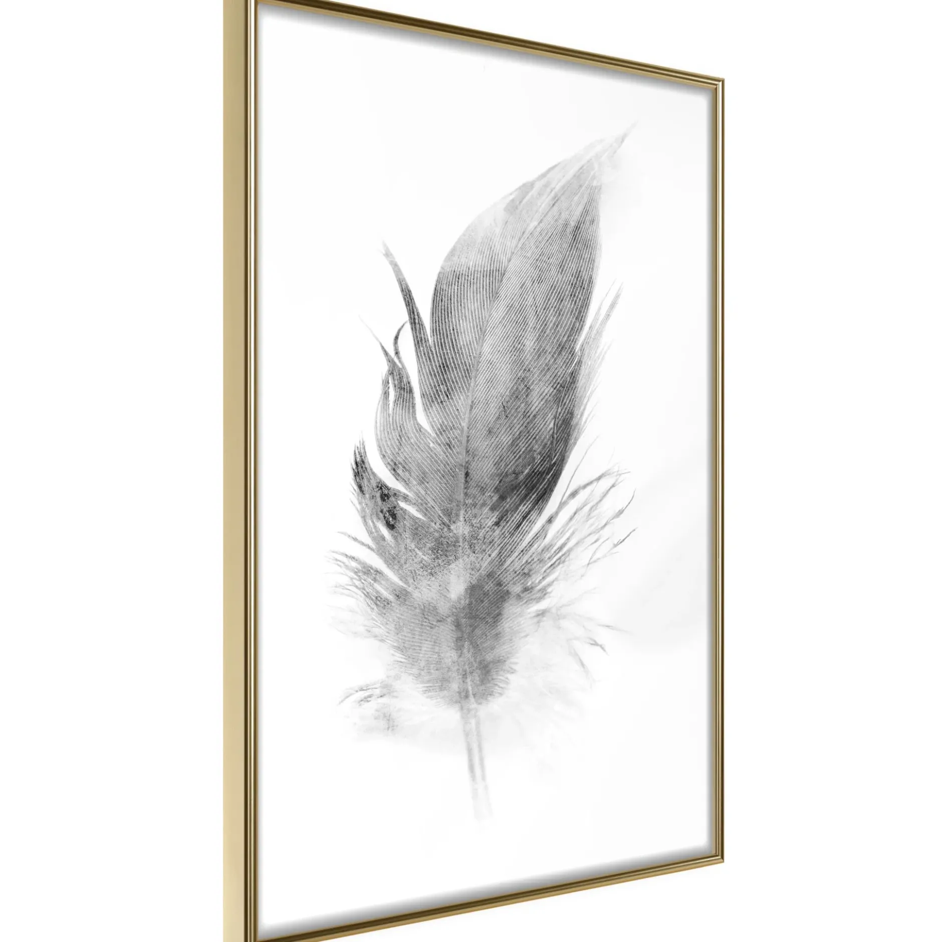 Poster 'Lost Feather (Grey)'