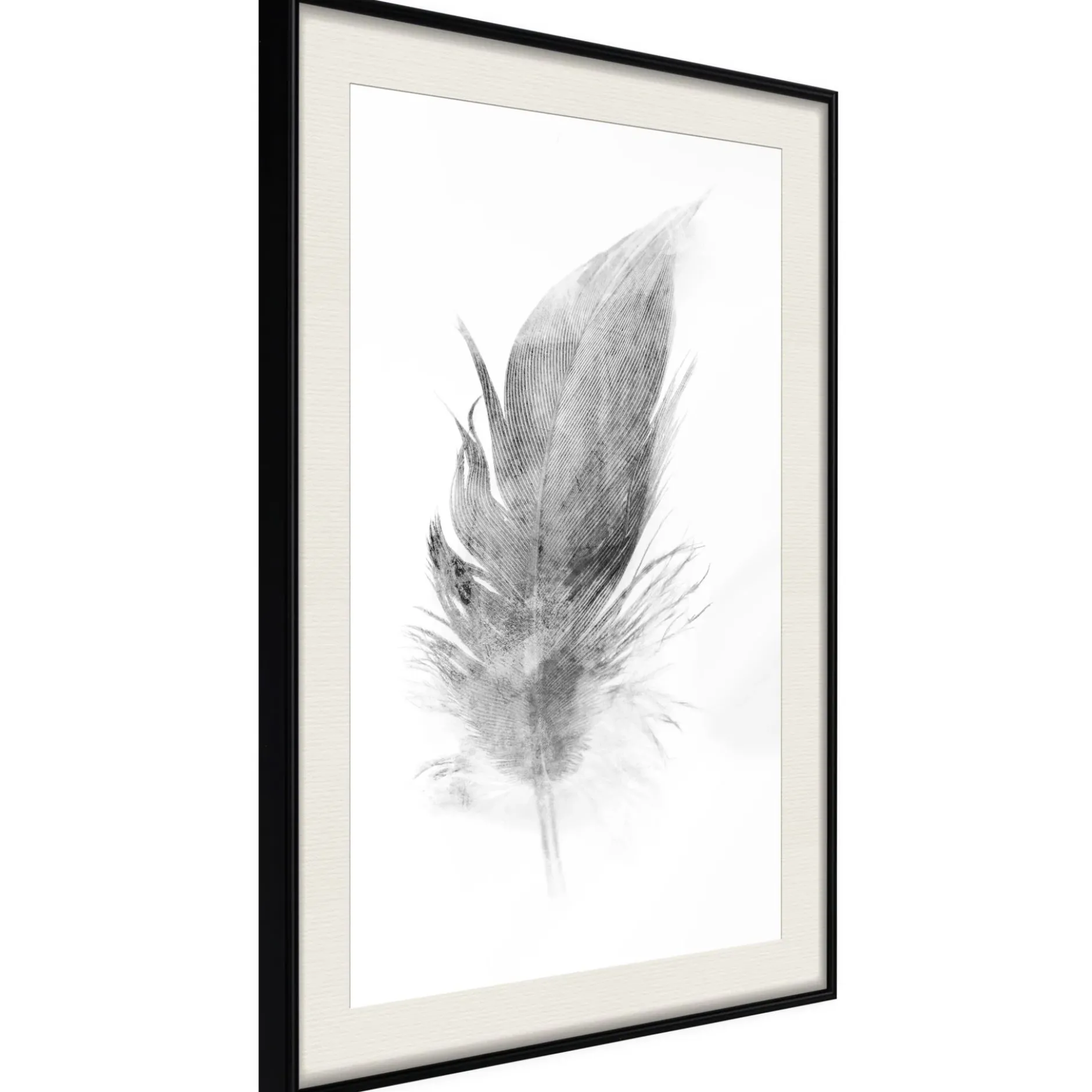 Poster 'Lost Feather (Grey)'