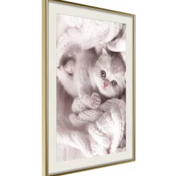Poster 'Lover of Rest'