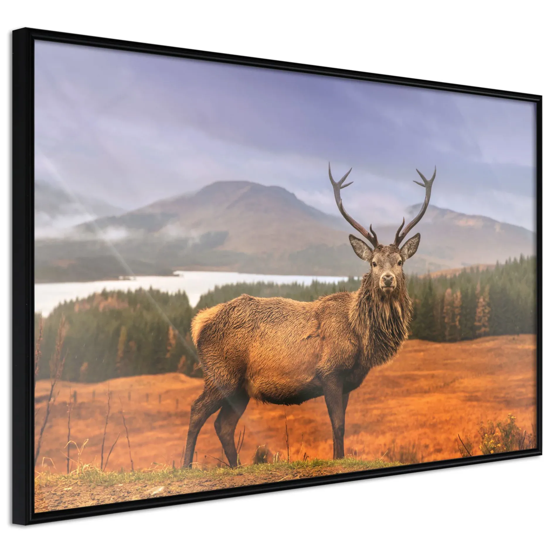 Poster 'Majestic Deer'