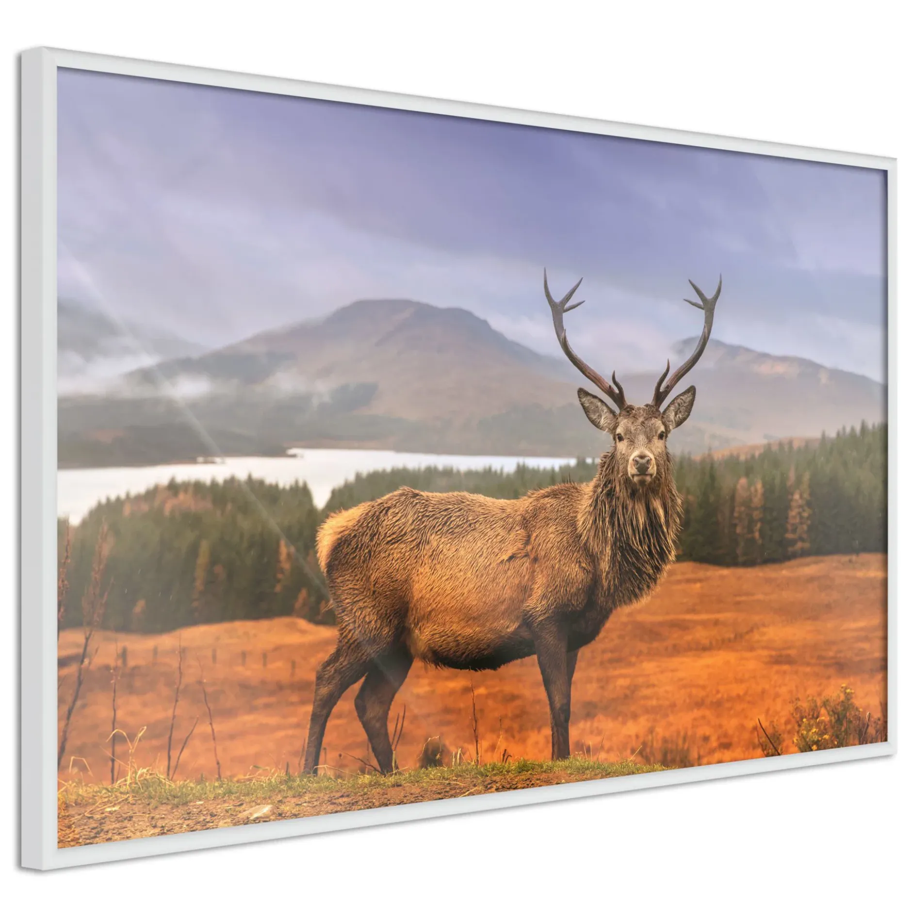Poster 'Majestic Deer'