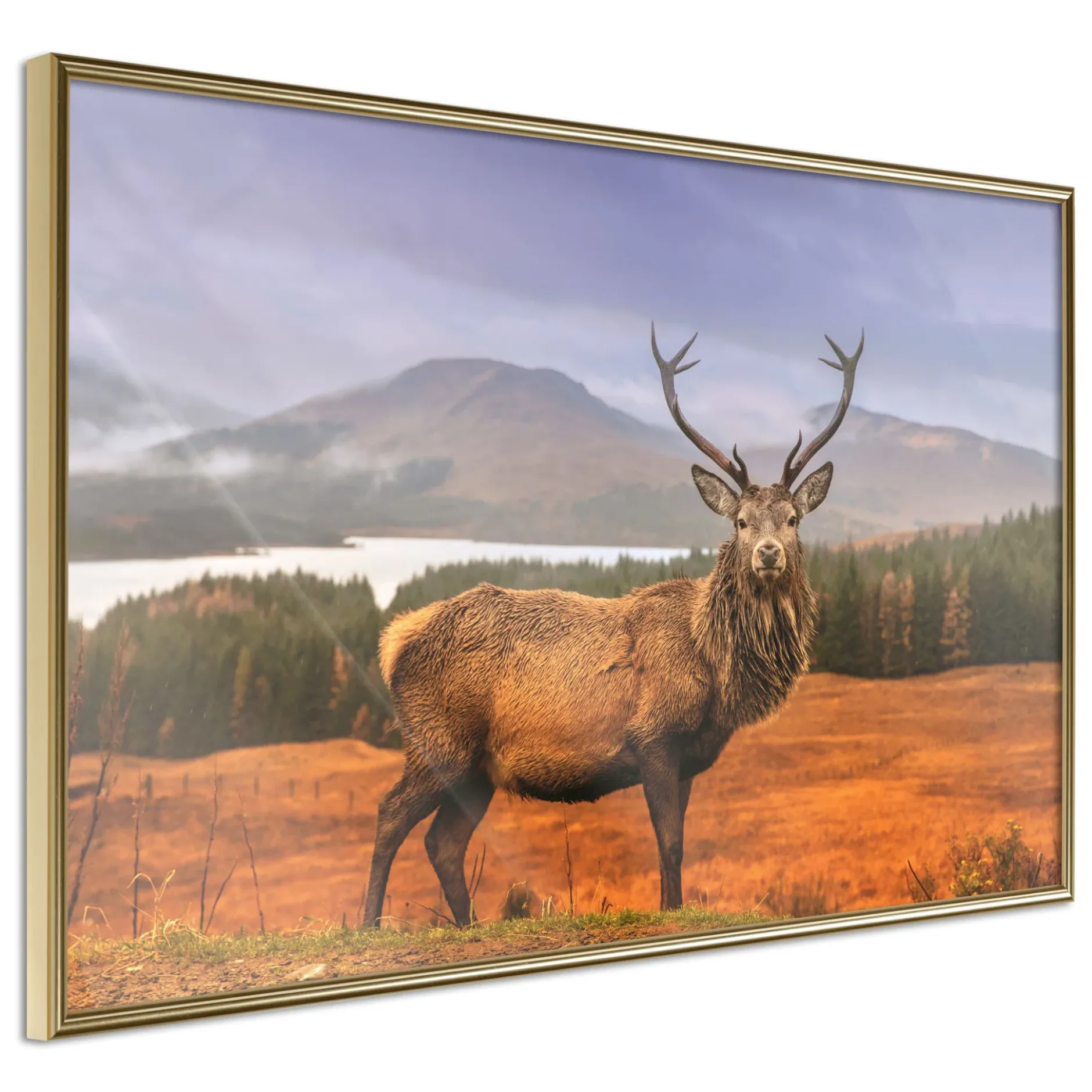Poster 'Majestic Deer'
