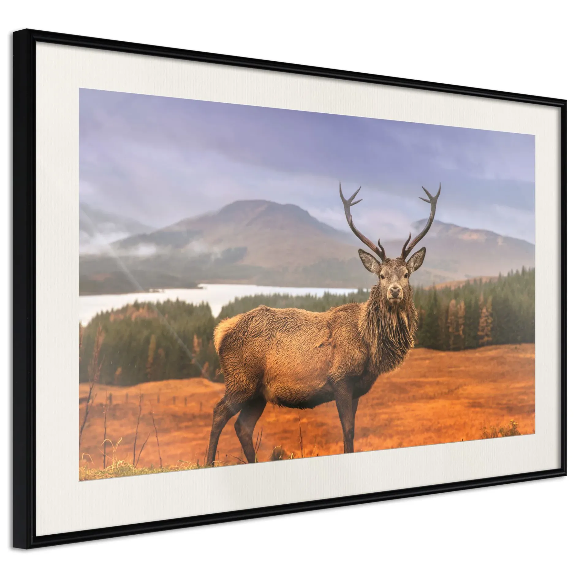 Poster 'Majestic Deer'