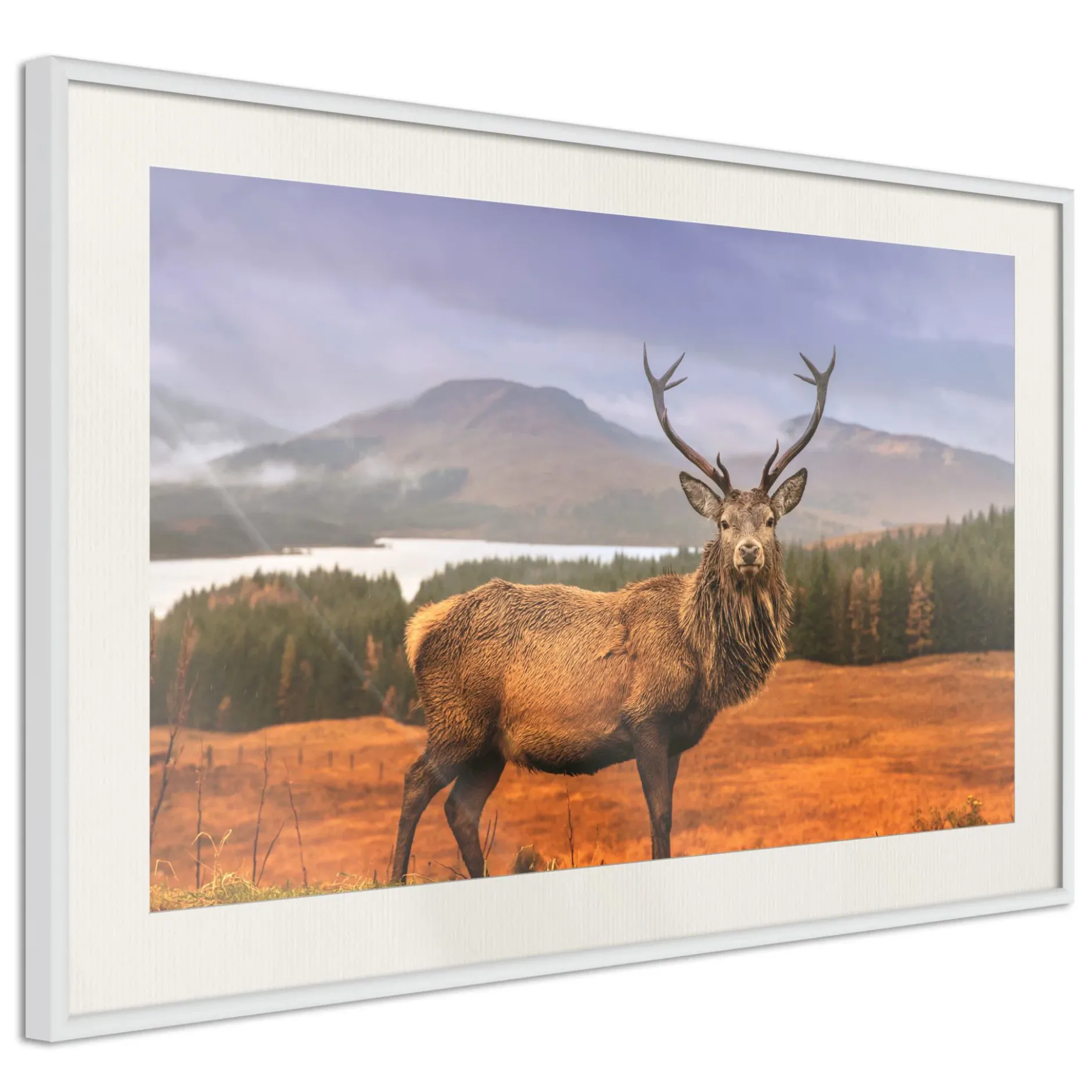 Poster 'Majestic Deer'