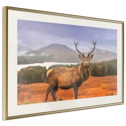 Poster 'Majestic Deer'