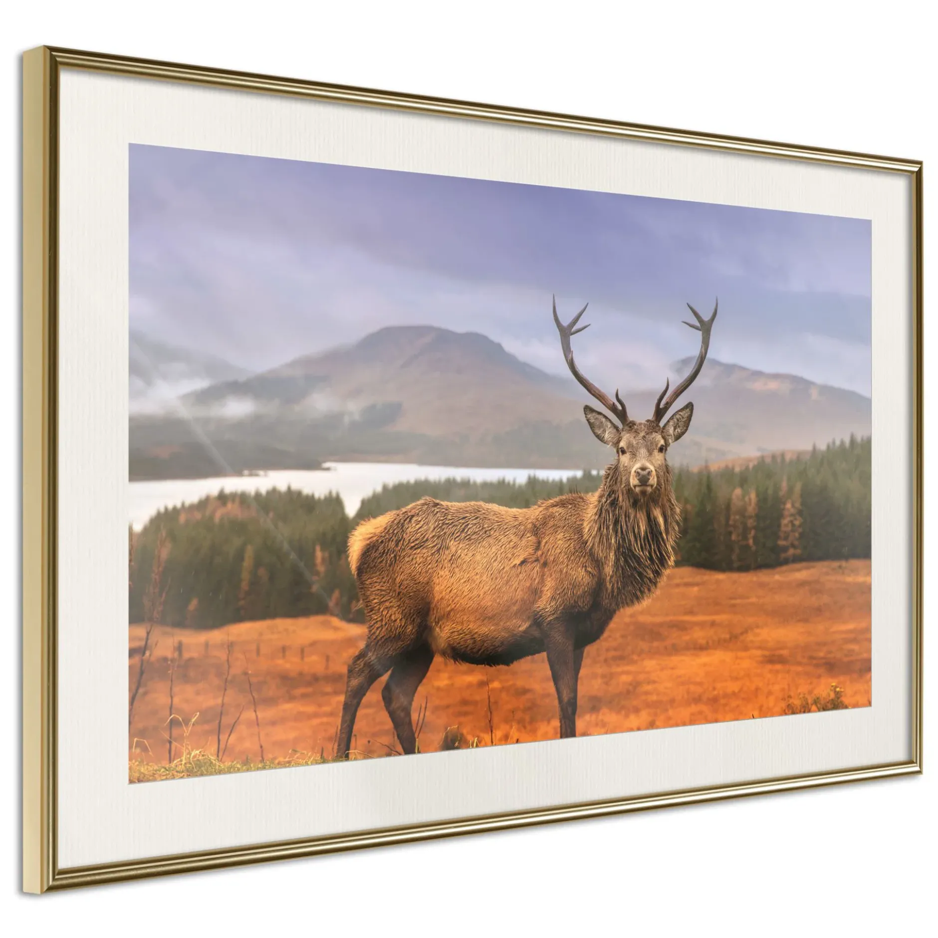 Poster 'Majestic Deer'