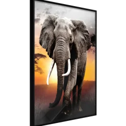 Poster 'Majestic Elephant'