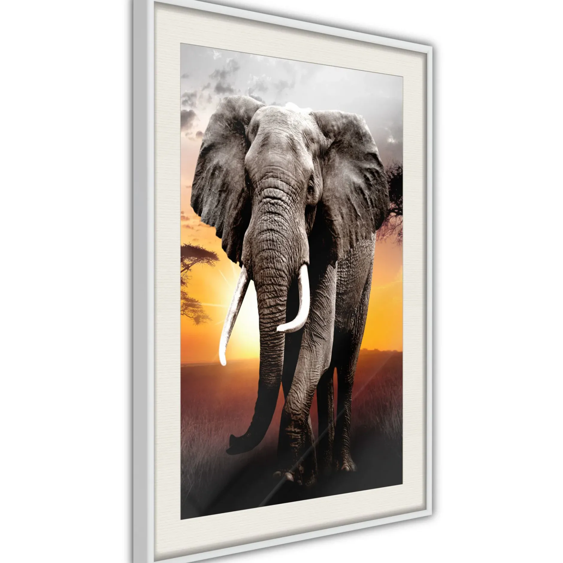 Poster 'Majestic Elephant'