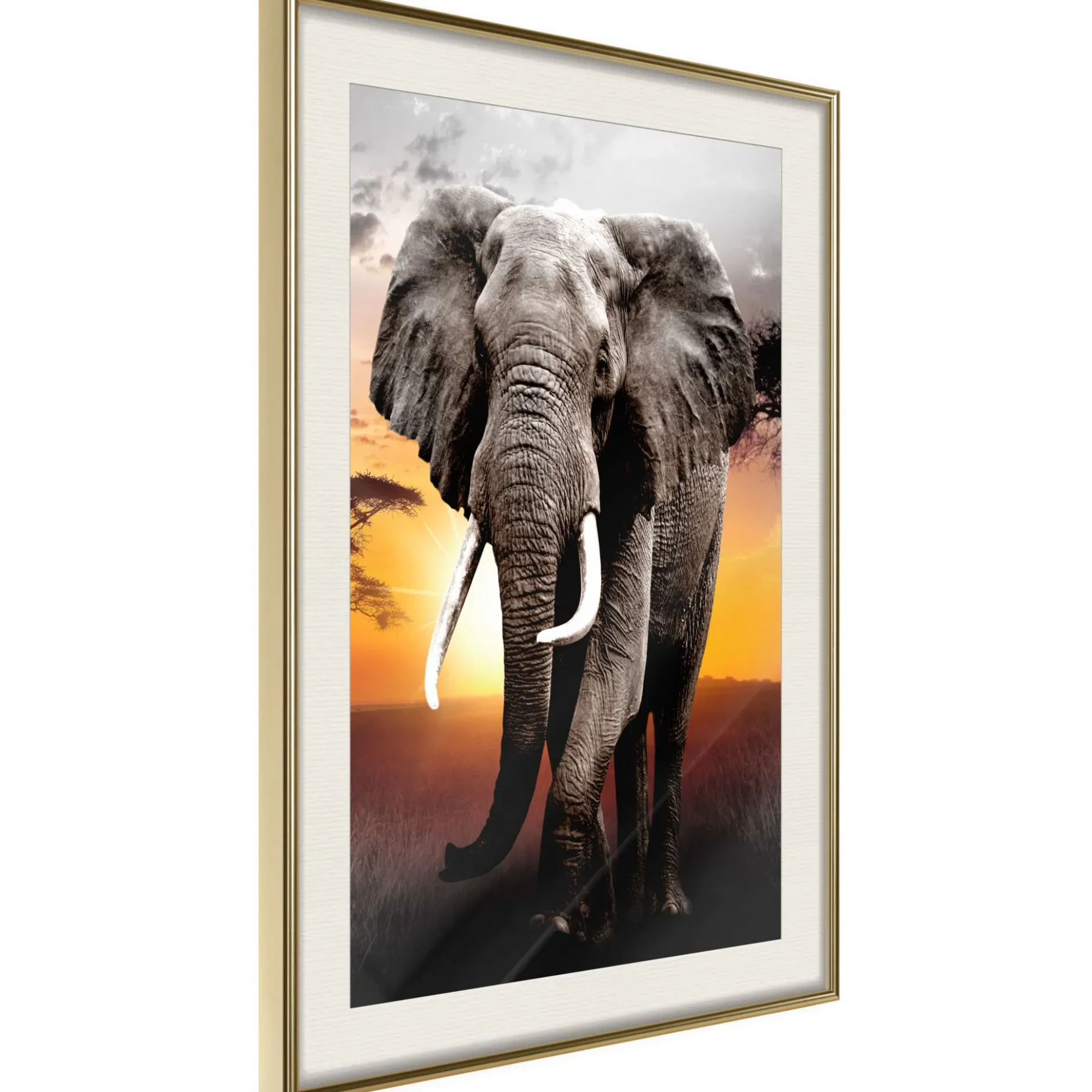 Poster 'Majestic Elephant'