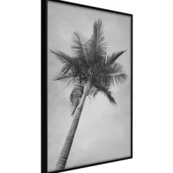 Poster 'Memories from the Paradise'