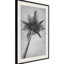 Poster 'Memories from the Paradise'