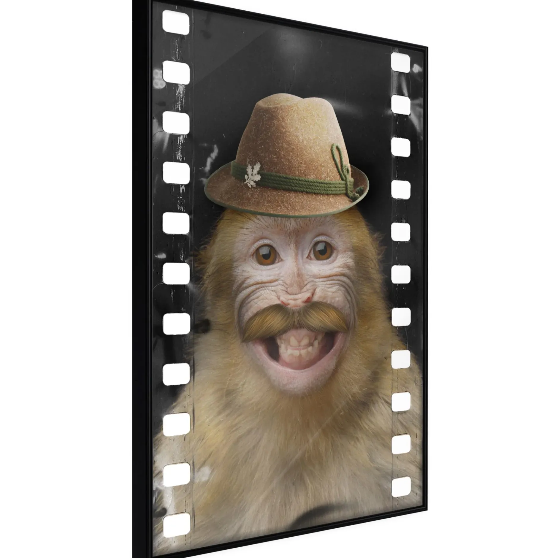 Poster 'Monkey In Hat'