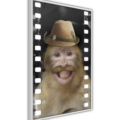 Poster 'Monkey In Hat'